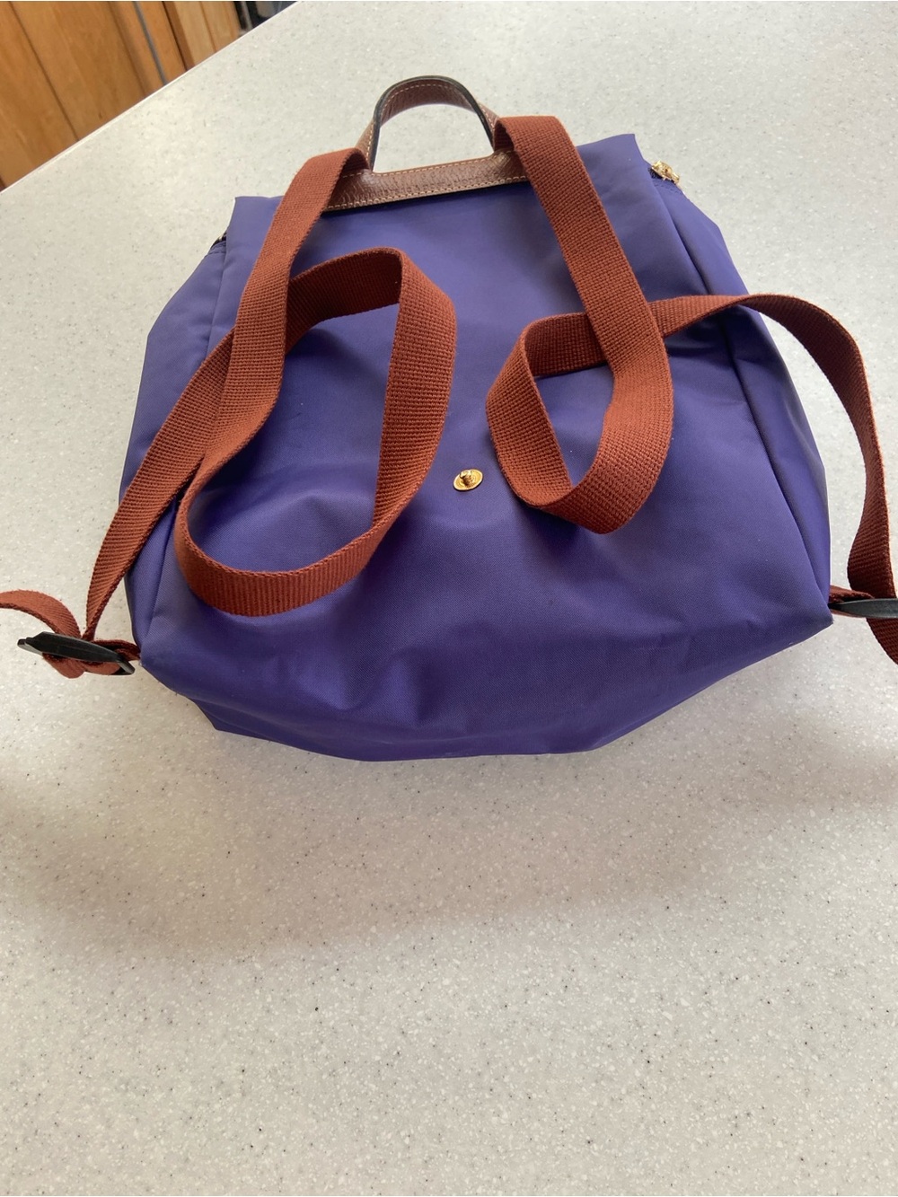 Purple Longchamp Le Pliage Lined Nylon Mini Backpack with Cognac Trim - Picture 2 of 16